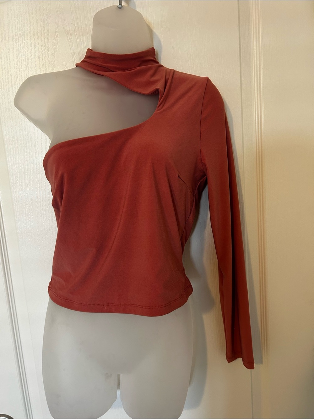 Rust One-Shoulder Long-Sleeve Women's Top